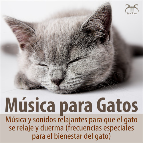 Música para gatos - Música y sonidos relajantes para que el gato se relaje y duerma (frecuencias especiales para el bienestar del gato)