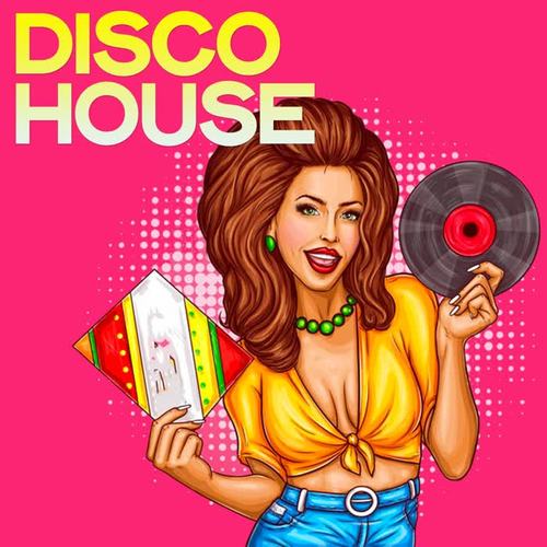 Disco House (Selection Disco House Music)