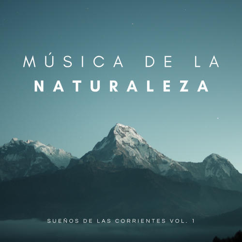 Música De La Naturaleza: Sonidos Del Agua Del Rio Vol. 1