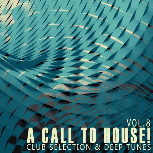 A Call to House!, Vol. 8