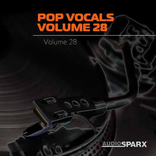 Pop Vocals Volume 28