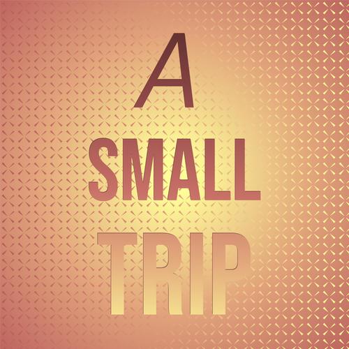 A Small Trip