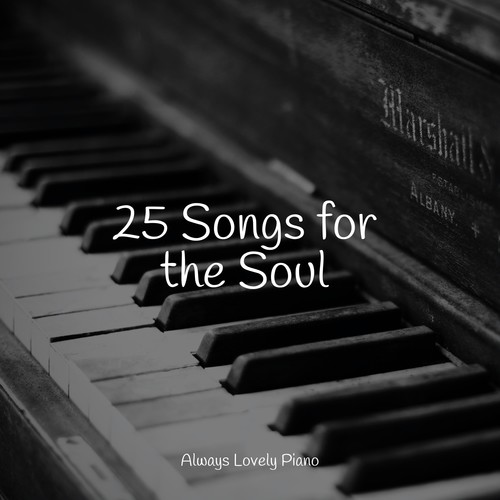 25 Songs for the Soul