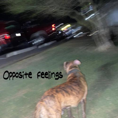 Opposite feelings (feat. Dan psycho)