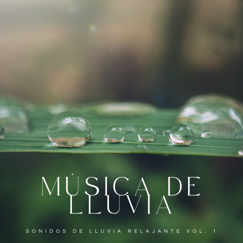 Música De Lluvia: Sonidos De Lluvia Relajante Vol. 1