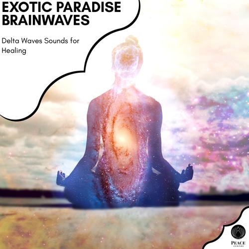 Exotic Paradise Brainwaves - Delta Waves Sounds For Healing