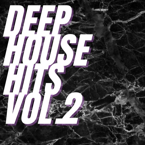 Deep House Hits Vol.2