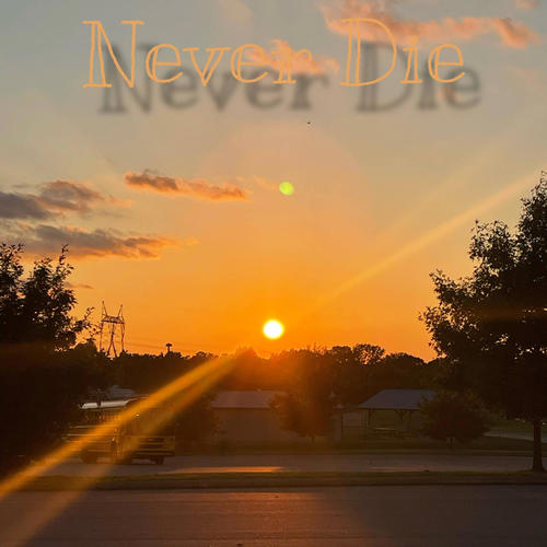 Never Die (feat. Naz Fontaine) [Explicit]