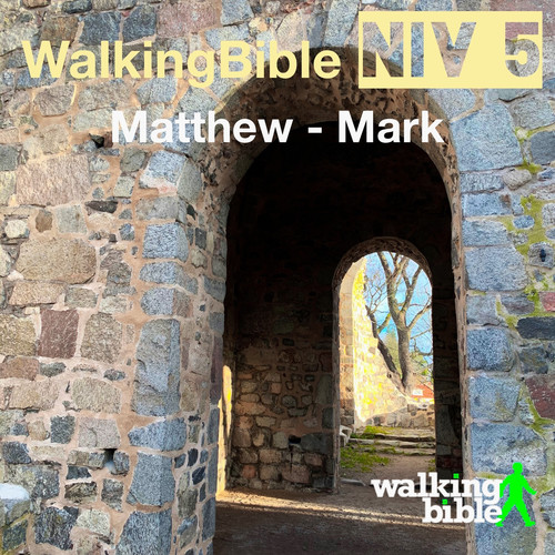 WalkingBible Niv 5 Matthew - Mark