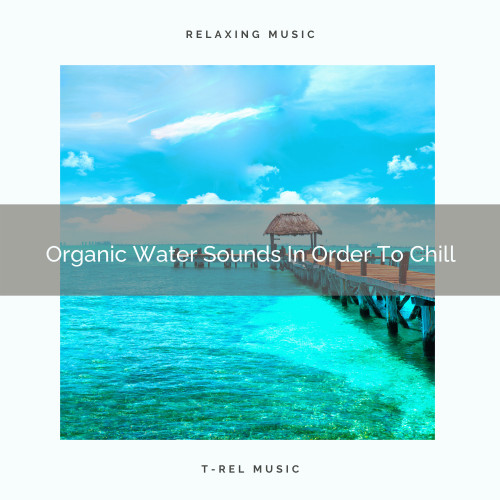 Organic Water Sounds In Order To Chill