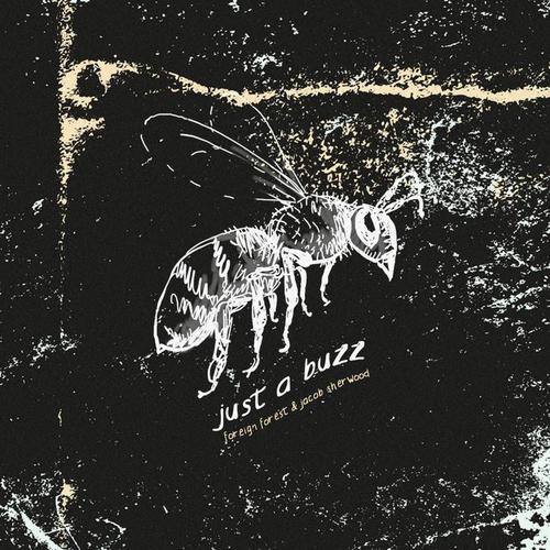 Just A Buzz (feat. Jacob Sherwood)