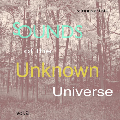 Sounds of the Unknown Universe: Vol.2