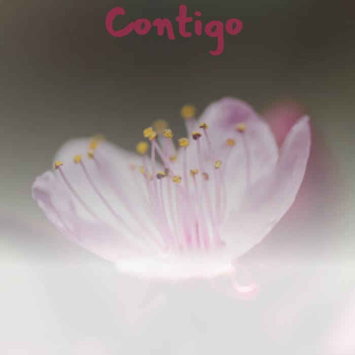 Contigo