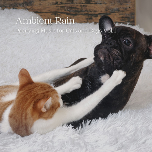 Ambient Rain: Pacifying Music for Cats and Dogs Vol. 1