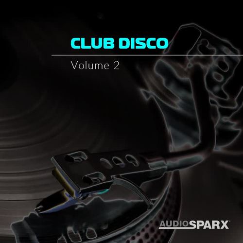 Club Disco Volume 2