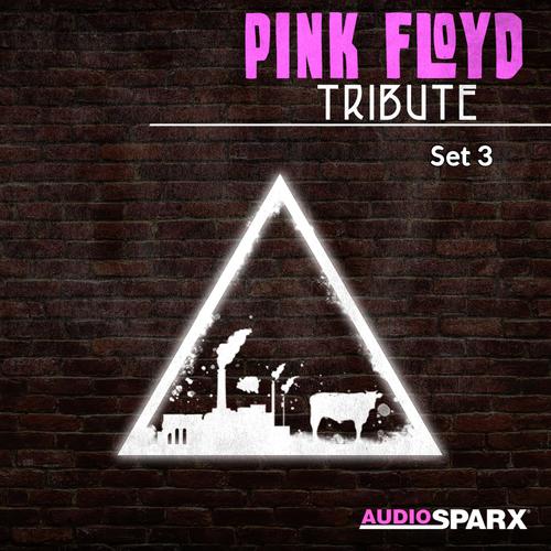 Pink Floyd Tribute, Set 3