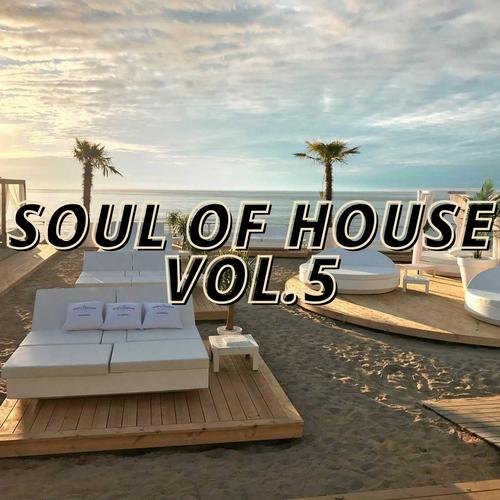 Soul of House Vol.5