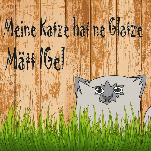 Meine Katze hat ne Glatze