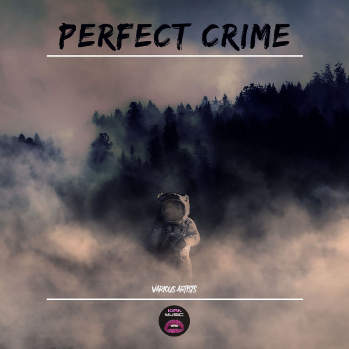 Perfect Crime