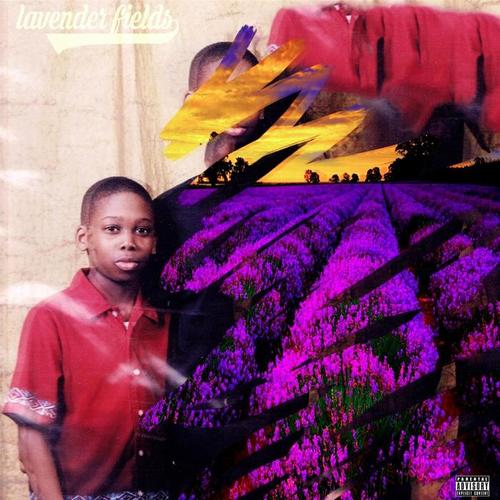 Lavender Fields (Explicit)
