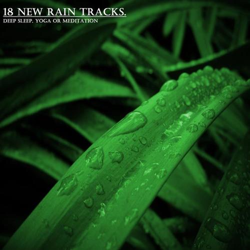 18 New Rain Tracks for Deep Sleep, Yoga or Meditation