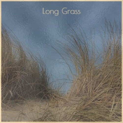 Long Grass