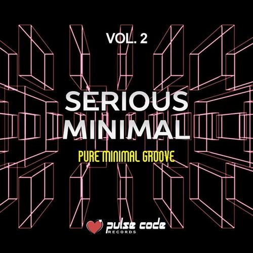 Serious Minimal, Vol. 2 (Pue Minimal Groove)