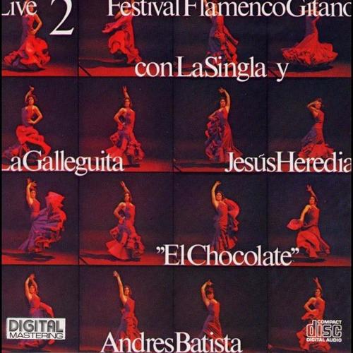 Festival Flamenco Gitano (2 Live)