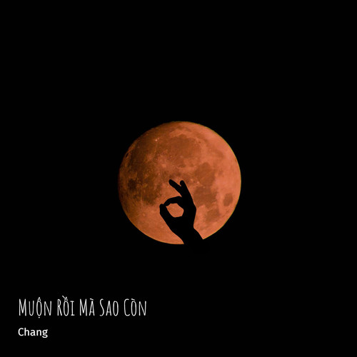 Muộn Rồi Mà Sao Còn (Lofi Ver.)