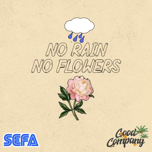 No Rain No Flowers