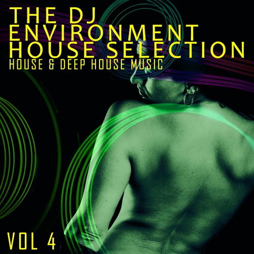 The DJ Environment: House Selection, Vol. 4