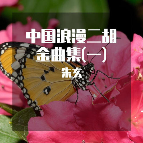 中国浪漫二胡金曲集(一)