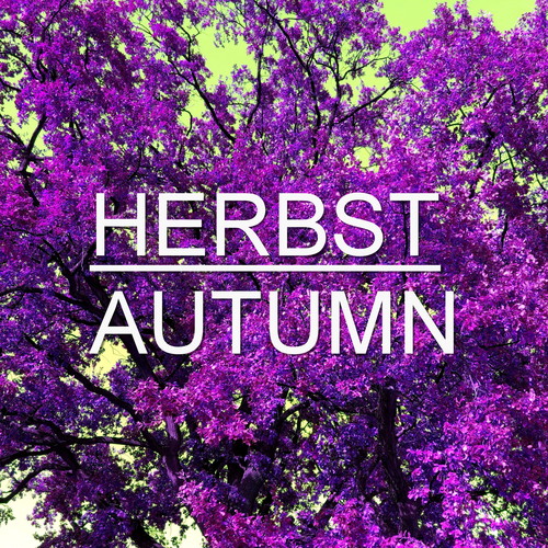 Herbst Autumn Vol. 3 (Melodic Techno Tech House Minimal Music) (Winter Edition)