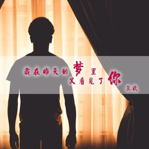 我在昨天的梦里又看见了你