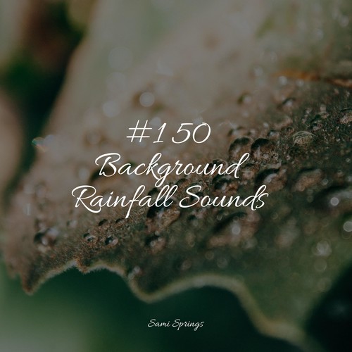 #1 50 Background Rainfall Sounds