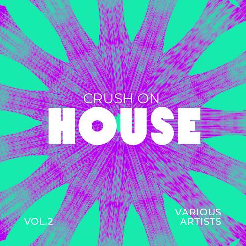 Crush On House, Vol. 2 (Explicit)