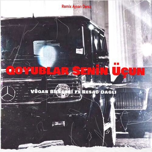 Qoyublar Sənin Üçun (Remix Ayxan Deniz)