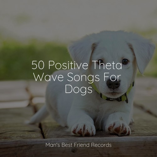 50 Positive Theta Wave Songs For Dogs