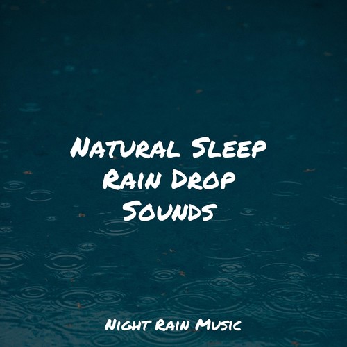 Natural Sleep Rain Drop Sounds