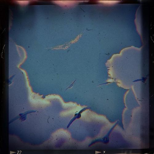 Soaring