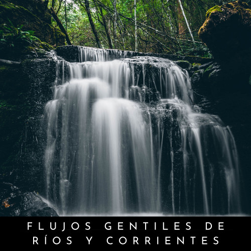 Flujos Gentiles De Ríos Y Corrientes