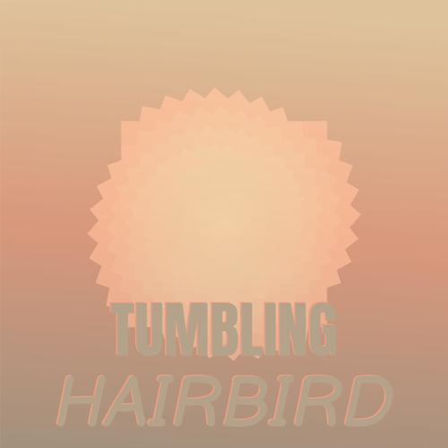 Tumbling Hairbird