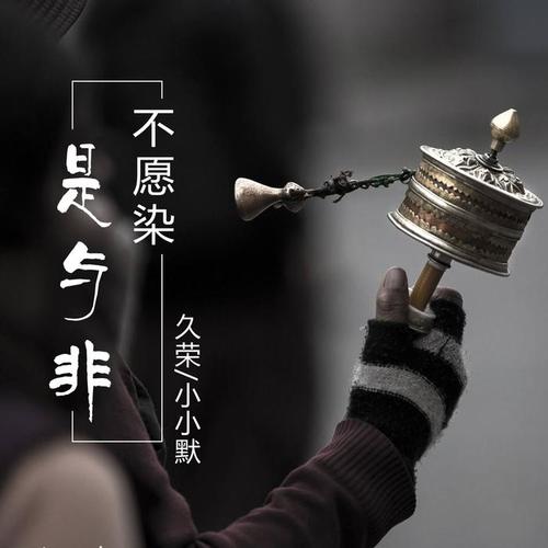 不愿染是与非