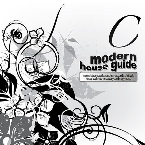 Modern House Guide - C