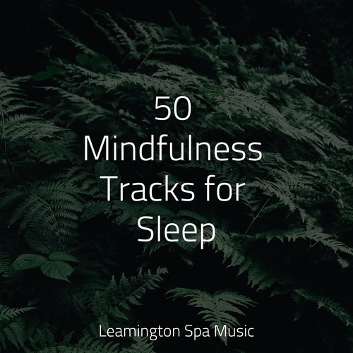 50 Mindfulness Tracks for Sleep