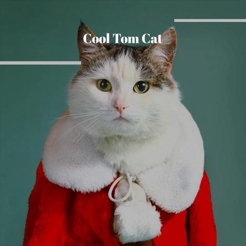 Cool Tom Cat