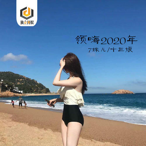 领嗨2020年