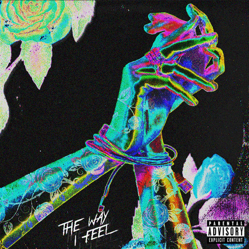 The Way I Feel (Explicit)