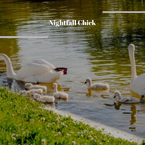 Nightfall Chick