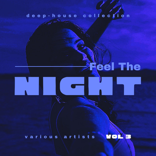 Feel The Night (Deep-House Collection), Vol. 3